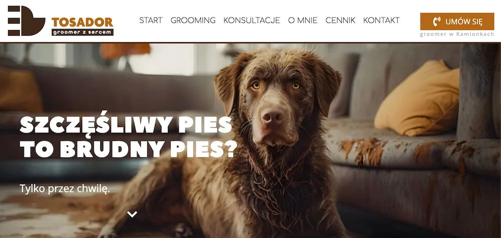 Copywriting dla salonu groomerskiego
